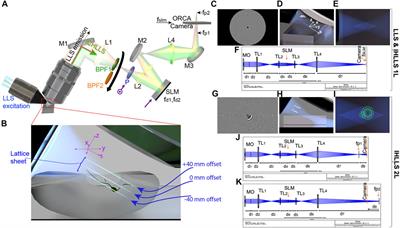 Incoherent color holography lattice light-sheet for subcellular imaging of dynamic structures